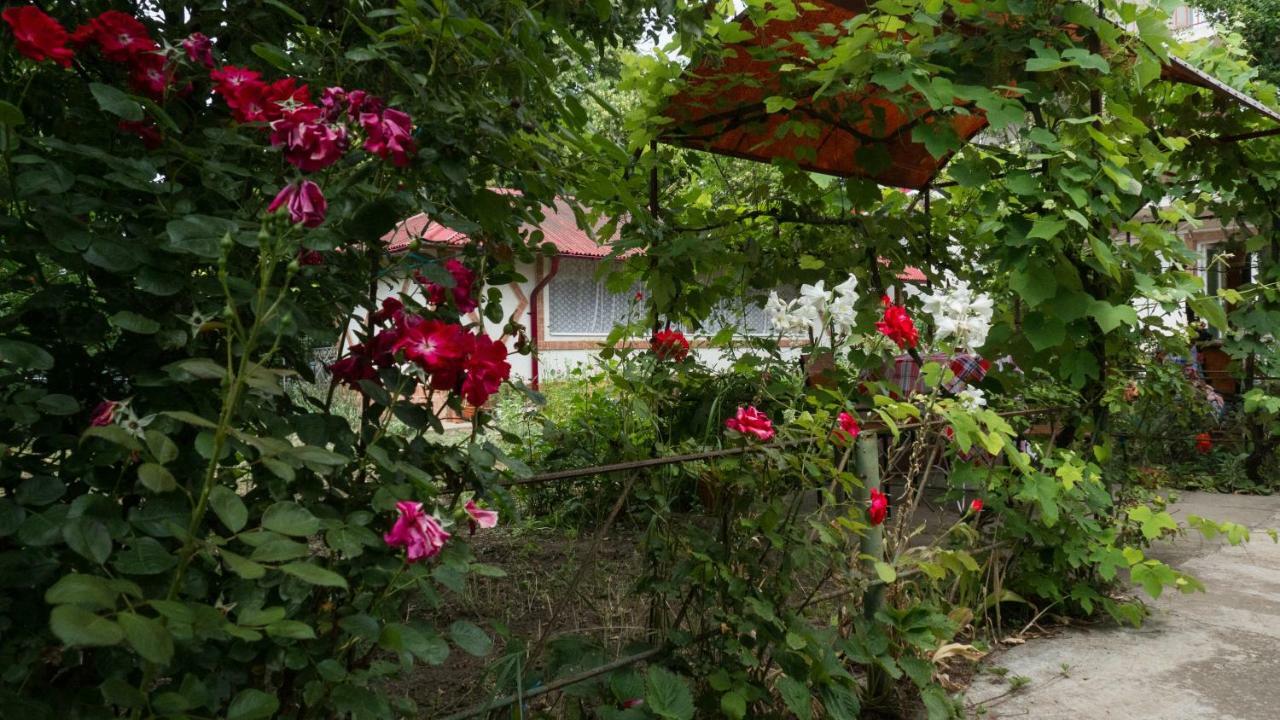 Casa Din Gradina Villa Eforie Sud  Exterior foto